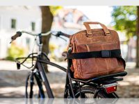 Doctor's bag carrier de luxe